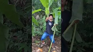 Mau ketawa takut dosa video lucu bikin ngakak hiburan warga+62 funny videos #funny #shorts #viral