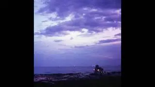 Orchid Mantis - Flashbulb Memory