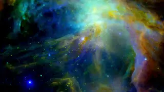 The M.S.P. - When She Knows