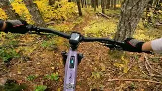 Dallas, OR, MTB: Tree House