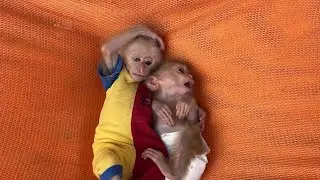 Chamroeun And Luna Sleeping On Hammock Wait Daddy Bathinq For N-a-st-y Minea