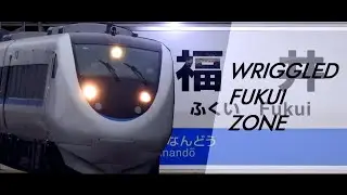 WRIGGLED FUKUI ZONE