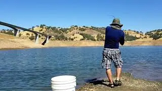 New Melones summer bass fishing