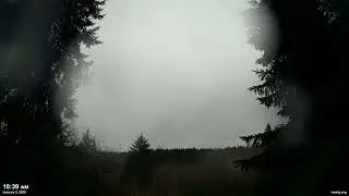 January 2, 2026 - Cloudy Pacific Northwest Skyscape Timelapse Video | 4K 60fps