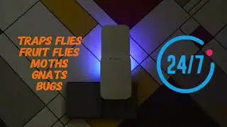 🦟【Mosalogic Fruit Fly Trap】Say goodbye to flying pests! 🎯
