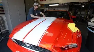 Ford Mustang In For Strips