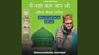 Main Nazar karoon Jaan O Jigar Kaisa Lagega