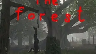 The forest alpha