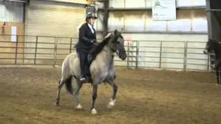 2016 NW Horse Fair & Expo Paso Fino horse breed show