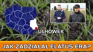 Elatus Era - mocny, niezawodny i kompletny | woj. lubelskie