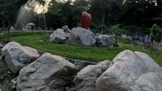SDB rose garden#dharapanionlinemedia #harkasampang #Dharan