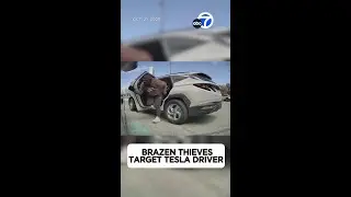 Brazen thieves target Tesla driver, steal $3,000 in cash