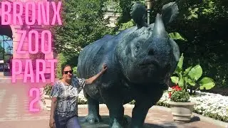 🦁 🐻 MY TRIP TO THE BRONX ZOO IN NEW YORK CITY!! PART 2 🦒 🐍