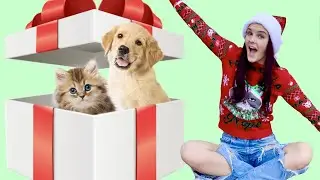 DONATING AN ANIMAL SHELTER EVERYTHING ON ITS CHRISTMAS LIST!!!!
