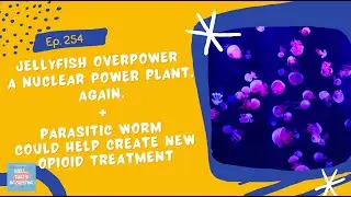 Ep. 254: Jellyfish Overpower A Nuclear Power Plant. Again. + Parasitic Worm Could Help Create New...