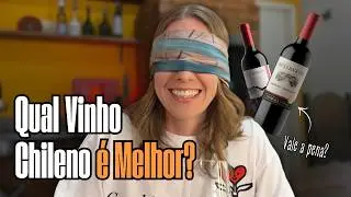 Sommeli&egrave;re prova vinho RESERVADO &agrave;s cegas! | Vale a pena?