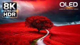 EXTREME COLOR DEPTH IN 16K HDR 120FPS | OLED TEST VIDEO (8K HDR 60fps)