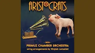 All Said and Done (feat. Primuz Chamber Orchestra)