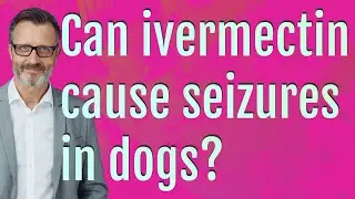 Can ivermectin cause seizures in dogs?