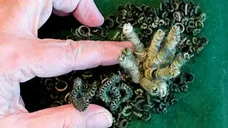 How to Stitch a Detached Bullion (It’s Easier Than It Looks!)