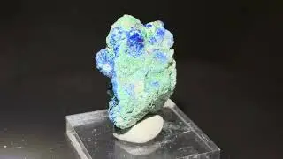 Minerals #756: Azurite, Conichalcite, Lavrion, Attica, Greece.1000円マルシェ in さいたま. 2025.12. 7.