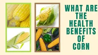 WHAT ARE THE HEALTH  BENEFITS OF CORN II HEALTH BENEFITS OF CORN II CORN HEALTH BENEFITS