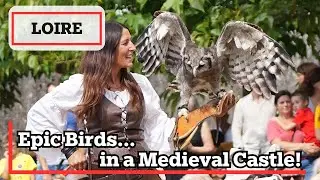 Wings of Legend: The Best Bird Spectacles in France!