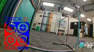 Racing Tiny Drones!  🗺 Global FPV Race League.  Track 1  RaceGOW Shauny D