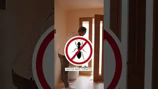 RAVEN Door Seal Install &ndash; Pest-Proof & Weatherproof Your Front Door 🔒🚪