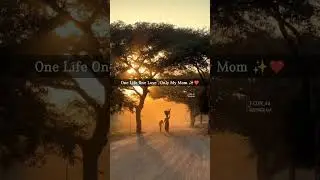 # one life # One Love # only my mam # mom love there children's
