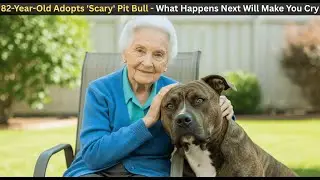 Inspirational Kindness Act: Pit Bull's Grandmother Bond Melts Hearts Worldwide