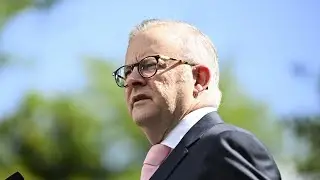 ‘Government is flailing’: Labor turn to cheaper loans in effort to bolster EV demand
