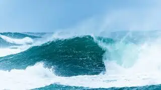 TD Just surf Alenbi WS Center Live