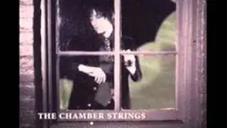 CHAMBER STRINGS- It's No Wonder