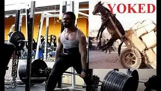 AlphaDestiny 