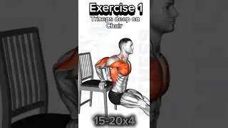 Triceps deep on chair [ Exercise 1 ]