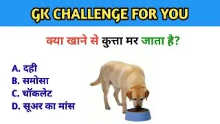 Knowledge top 10 most Important Questions | gk In Hindi | Gk Tech PRP  || General knowledge