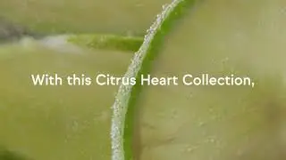 LMR Citrus Heart Collection