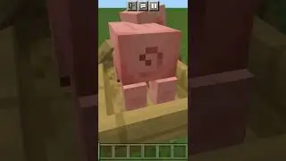 почему жопа у свиньи 9