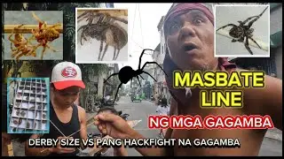 GAGAMBANG MASBATE  ANG TAPAPANG IBAT IBANG URI NANG GAGAMBA