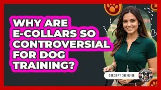 Why Are E-collars So Controversial For Dog Training? - Obedient Dog Guide