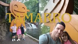 BUSCAMOS UN TAMARRO