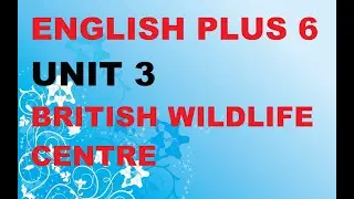 ENGLISH PLUS 6 U3 