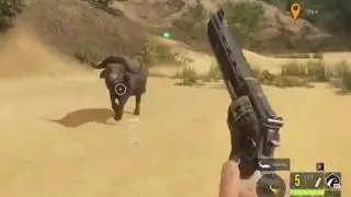 Keep Calm and RELOAD! - theHunter: Call of the Wild