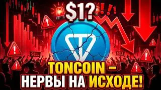 TONCOIN ПОД УГРОЗОЙ! КРИПТОРЫНОК ВКЛЮЧИЛ РЕЖИМ УНИЧТОЖЕНИЯ