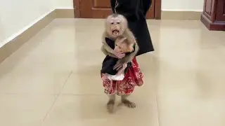 Excited Linda Big Mouth Gesture To Carry Selena Go To Have Lunch Time