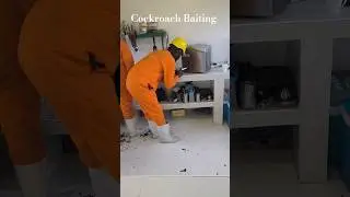 Cockroach Baiting Service #cockroachcontrol