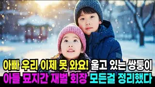 아빠  우리 이제 못 와요!  아들 묘지를 찾은 재벌회장 부부,  쌍둥이 남매와 마주치는데#반전사연 #인생사연 #노후사연 #사연살롱#사연열차#사연채널#사연튜브#오디오북