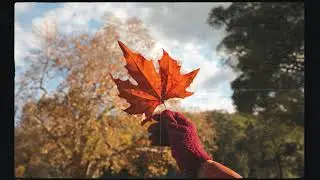 The joy of letting go  |  Anthony Lazaro | Free song | Pray for peace 🤍 #peace #justice #narcissist