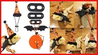 Quality product -  ADOGGYGO Halloween Bearded Dragon Lizard Leash Harness Hat Set - Bearded Dragon C